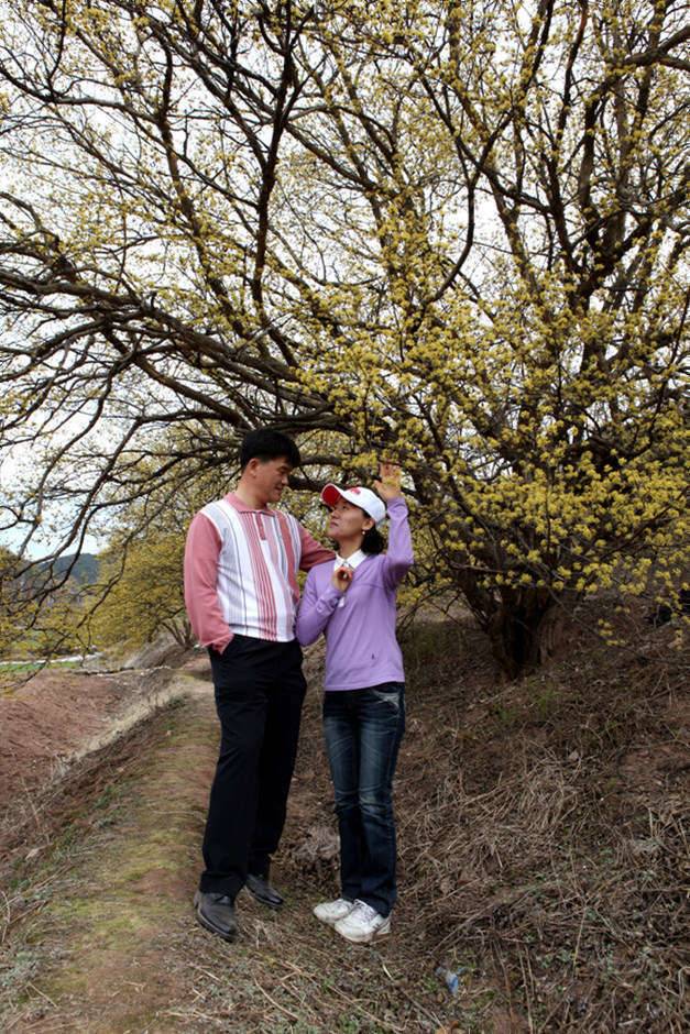 의성 산수유 축제에서 (커뮤니티 - 포토갤러리)