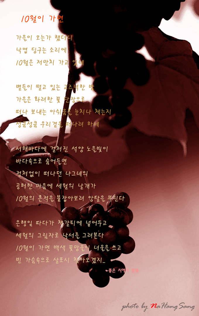 10월의 마지막주을 맞으며 (커뮤니티 - 포토갤러리)