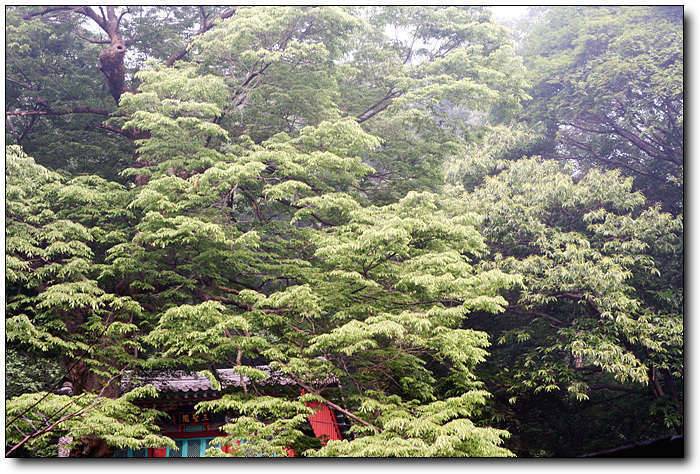 산사에서 (커뮤니티 - 포토갤러리)