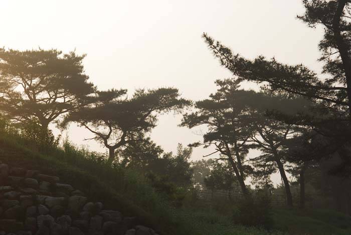 붕어야 놀자 (커뮤니티 - 포토갤러리)