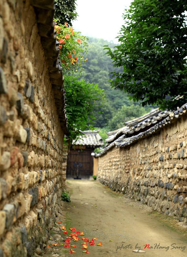 대구 인근 출사하기 좋은 곳 (커뮤니티 - 포토갤러리)