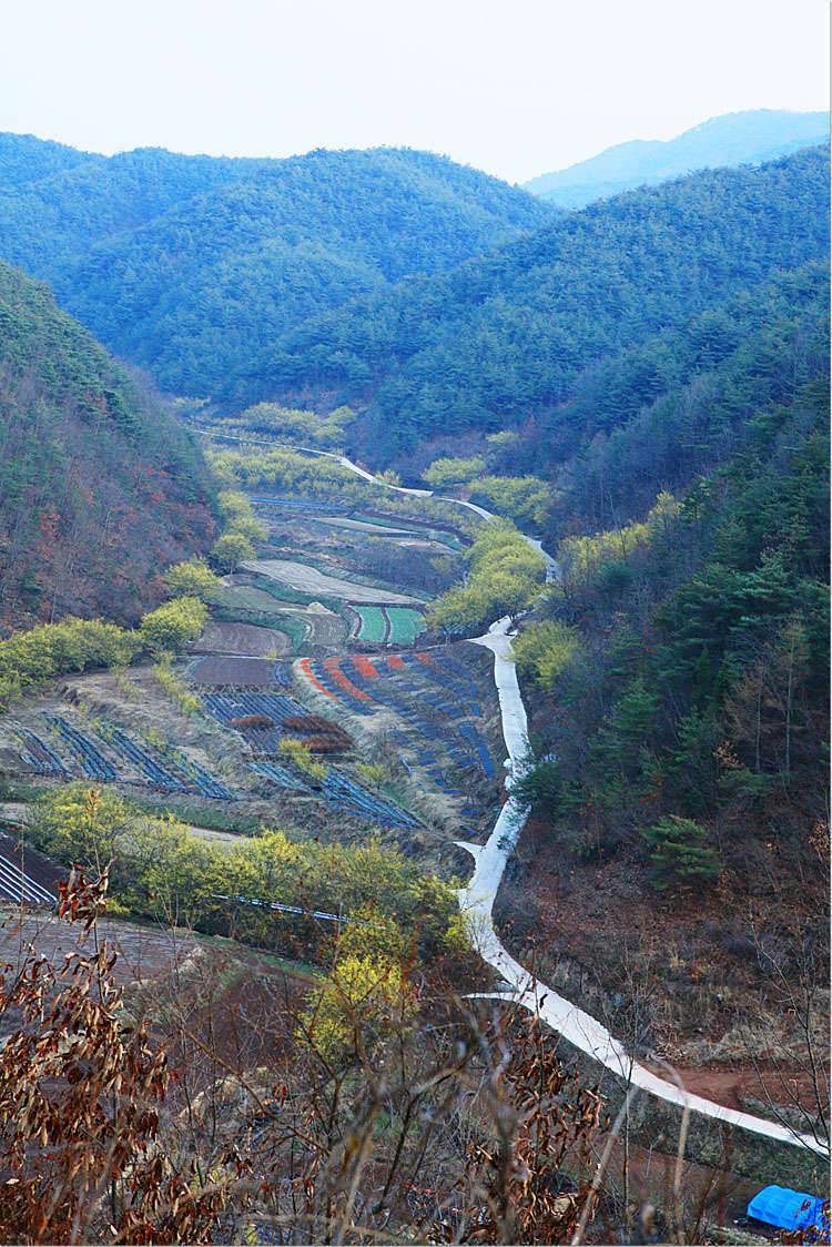 경상북도 의성군 사곡면 화전2리 산수유마을 (커뮤니티 - 포토갤러리)
