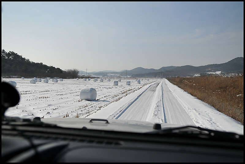 2011년 1월1일 첫 아침 (커뮤니티 - 포토갤러리)
