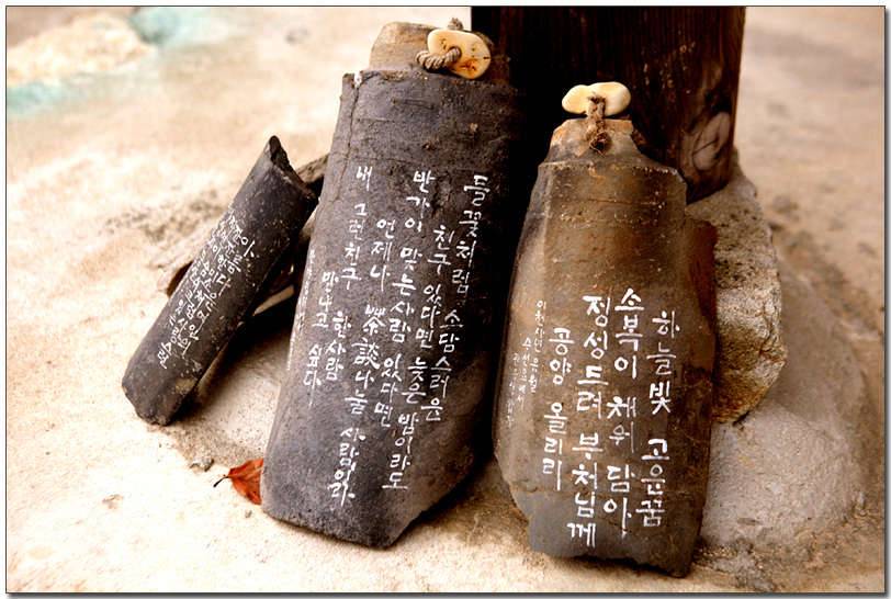 선산도리사 시조히 그리고 (커뮤니티 - 포토갤러리)