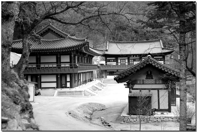 선산도리사 시조히 그리고 (커뮤니티 - 포토갤러리)