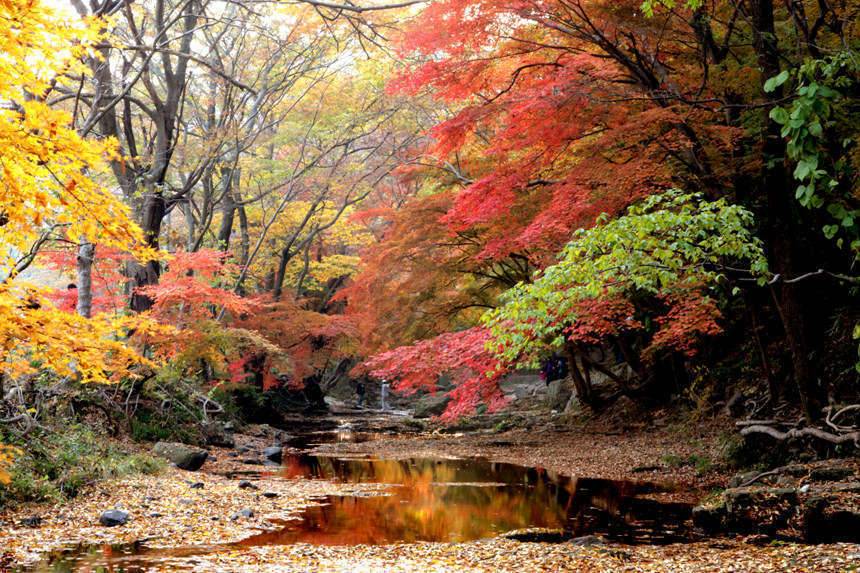 고창 선운사의 가을 (커뮤니티 - 포토갤러리)