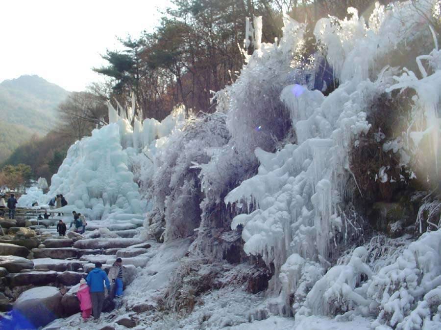 비슬산 얼음동산 (커뮤니티 - 포토갤러리)
