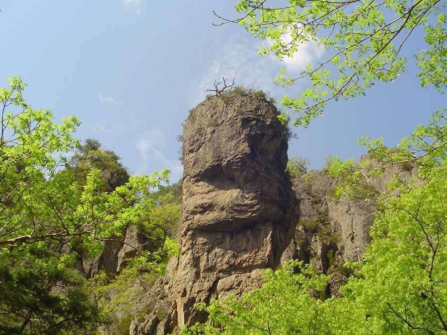 주왕산 (커뮤니티 - 포토갤러리)