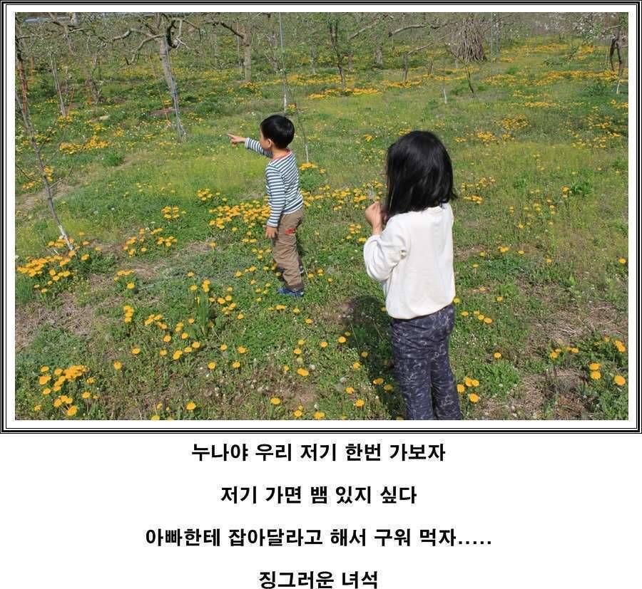 따뜻한 봄이 그립습니다 (커뮤니티 - 포토갤러리)