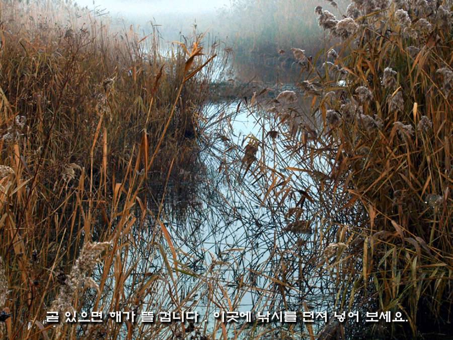 제왕에게 생명을 (커뮤니티 - 포토갤러리)
