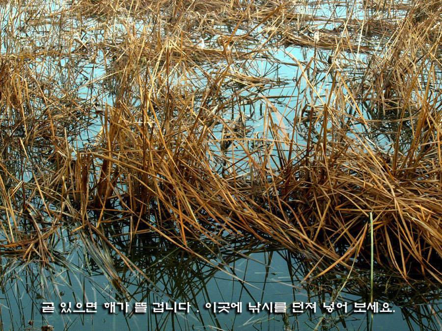 제왕에게 생명을 (커뮤니티 - 포토갤러리)