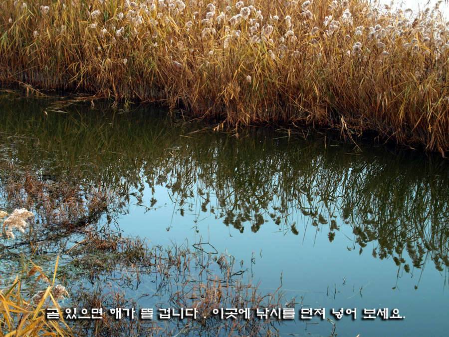 제왕에게 생명을 (커뮤니티 - 포토갤러리)