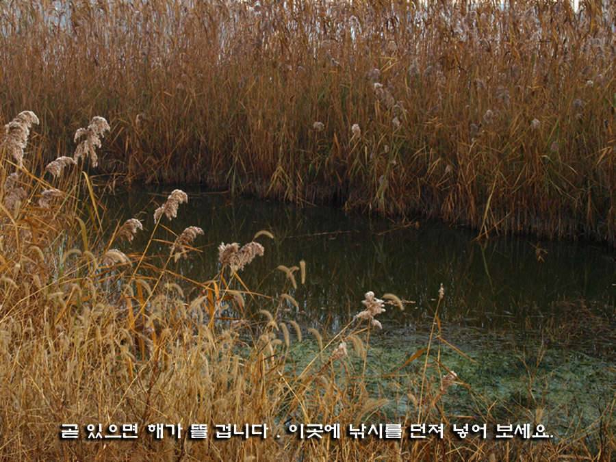 제왕에게 생명을 (커뮤니티 - 포토갤러리)