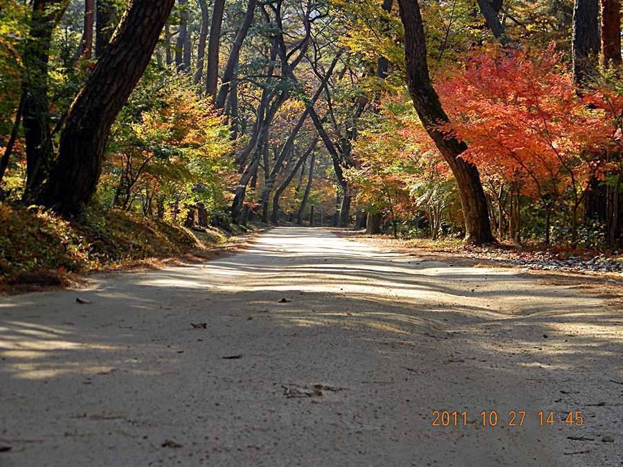 고운사孤雲寺의 만추晩秋 (커뮤니티 - 포토갤러리)