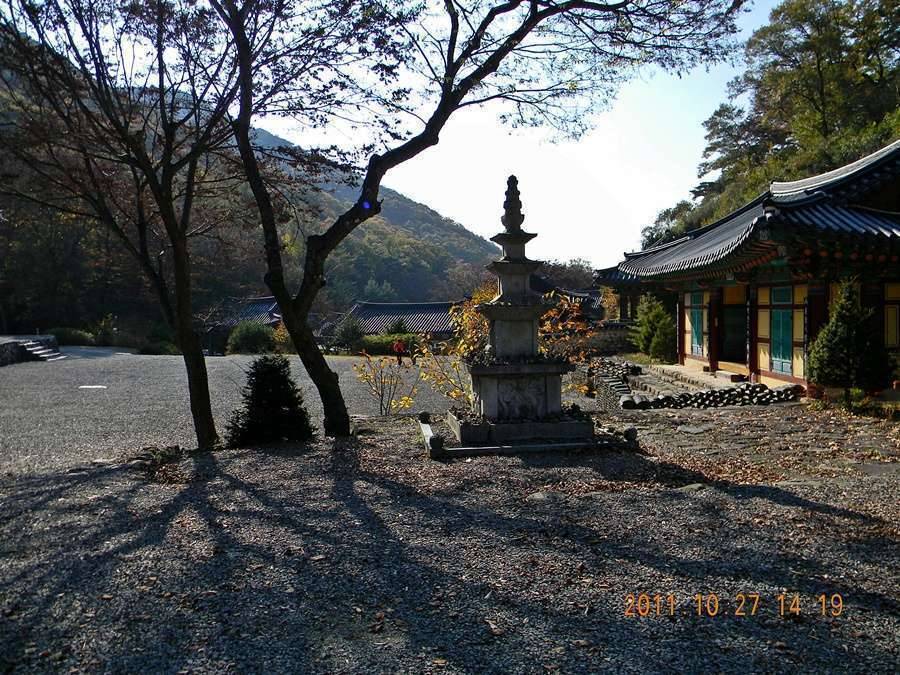 고운사孤雲寺의 만추晩秋 (커뮤니티 - 포토갤러리)