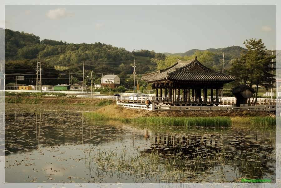 유등연지 (커뮤니티 - 포토갤러리)