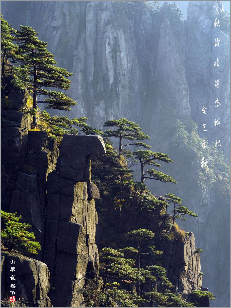 황산에서 (커뮤니티 - 포토갤러리)