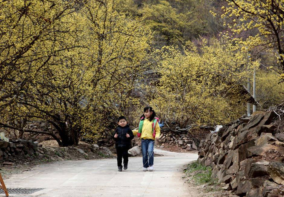의성 산수유 축제에서 (커뮤니티 - 포토갤러리)