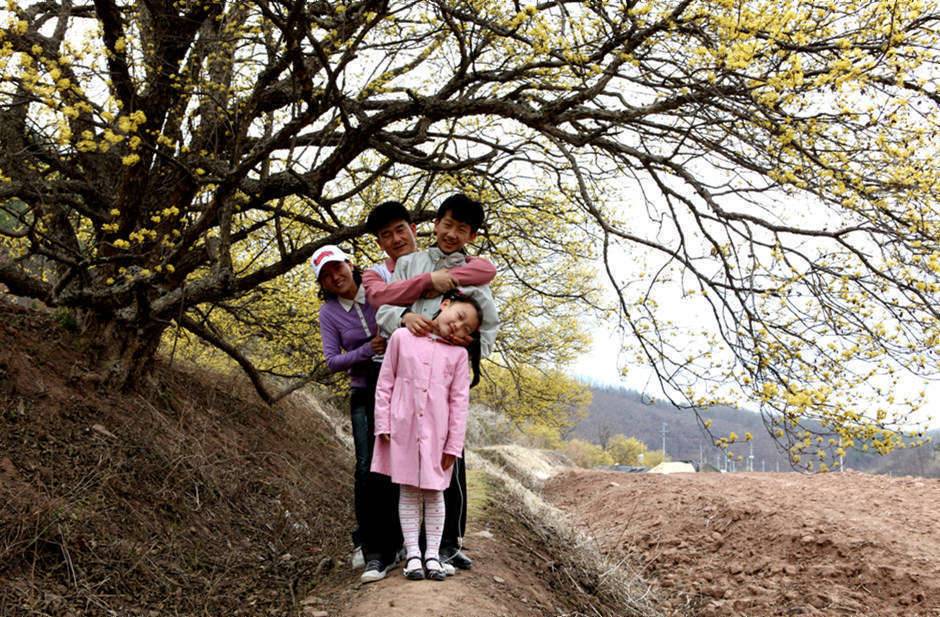 의성 산수유 축제에서 (커뮤니티 - 포토갤러리)