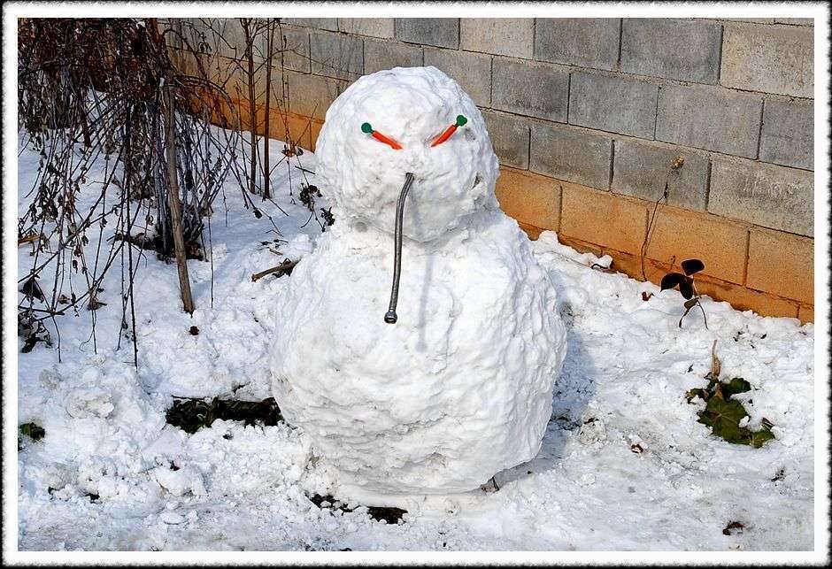 내고향 雪날 (커뮤니티 - 포토갤러리)