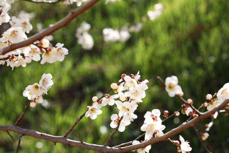 삼천포로 빠지다 (커뮤니티 - 포토갤러리)