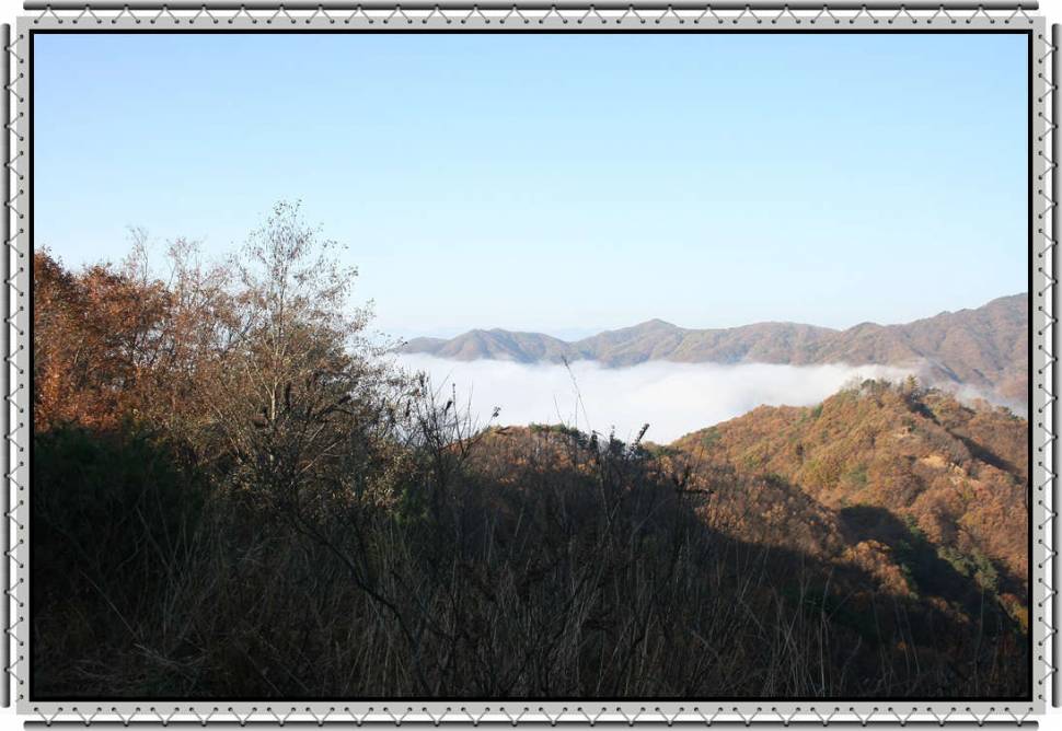 아침 출근길에 (커뮤니티 - 포토갤러리)