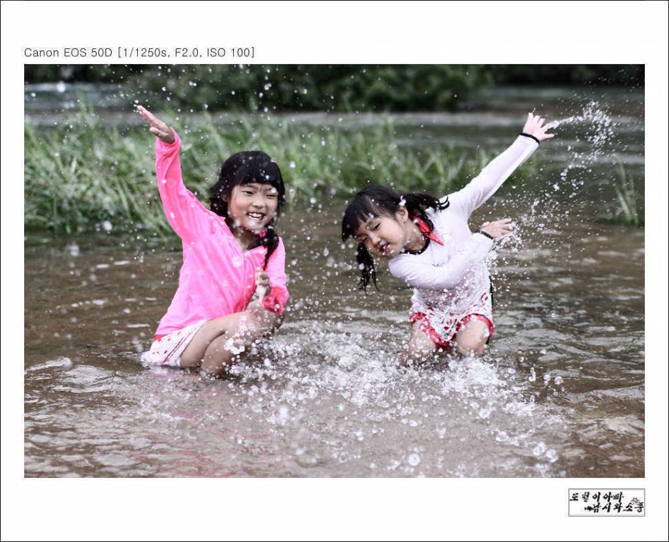 여름을 보내며 (커뮤니티 - 포토갤러리)