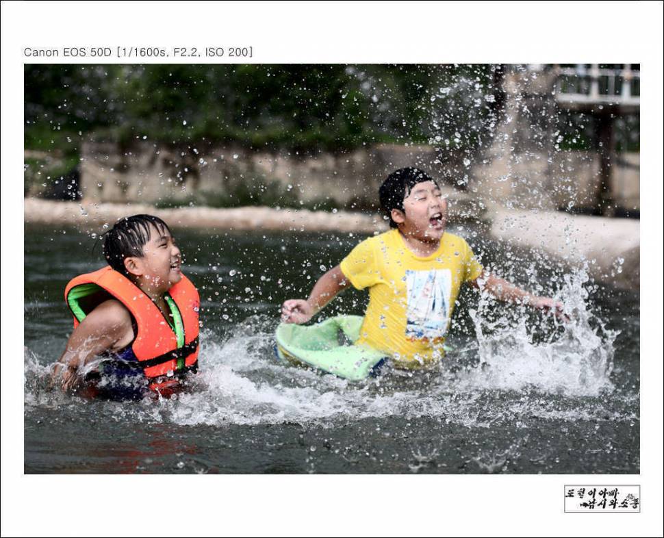 여름을 보내며 (커뮤니티 - 포토갤러리)