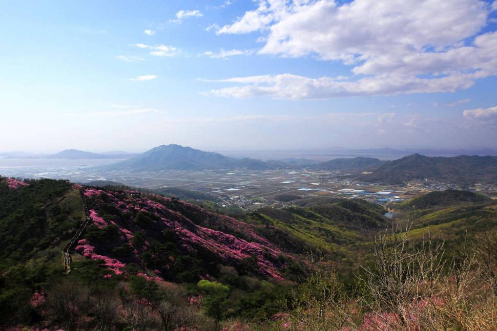 작은놈과의 산행중에서 (커뮤니티 - 포토갤러리)