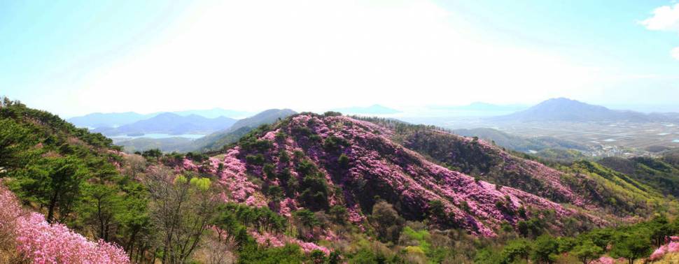 작은놈과의 산행중에서 (커뮤니티 - 포토갤러리)