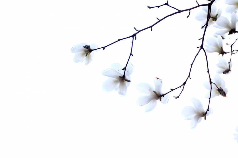 작은놈과의 산행중에서 (커뮤니티 - 포토갤러리)