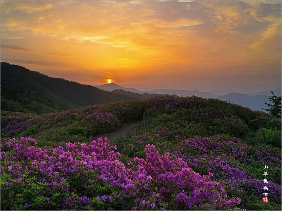 지리산에서 (커뮤니티 - 포토갤러리)