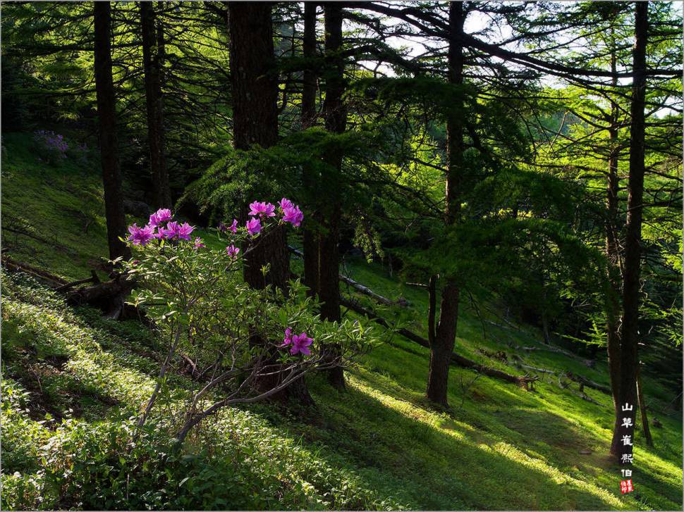 지리산에서 (커뮤니티 - 포토갤러리)