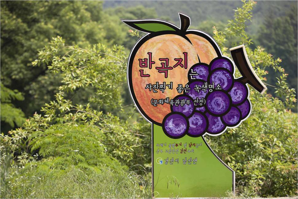 반곡지 (커뮤니티 - 포토갤러리)