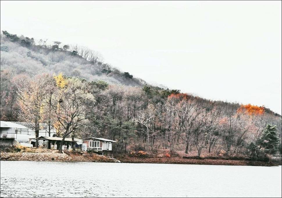 기산저수지의 가을 (커뮤니티 - 포토갤러리)