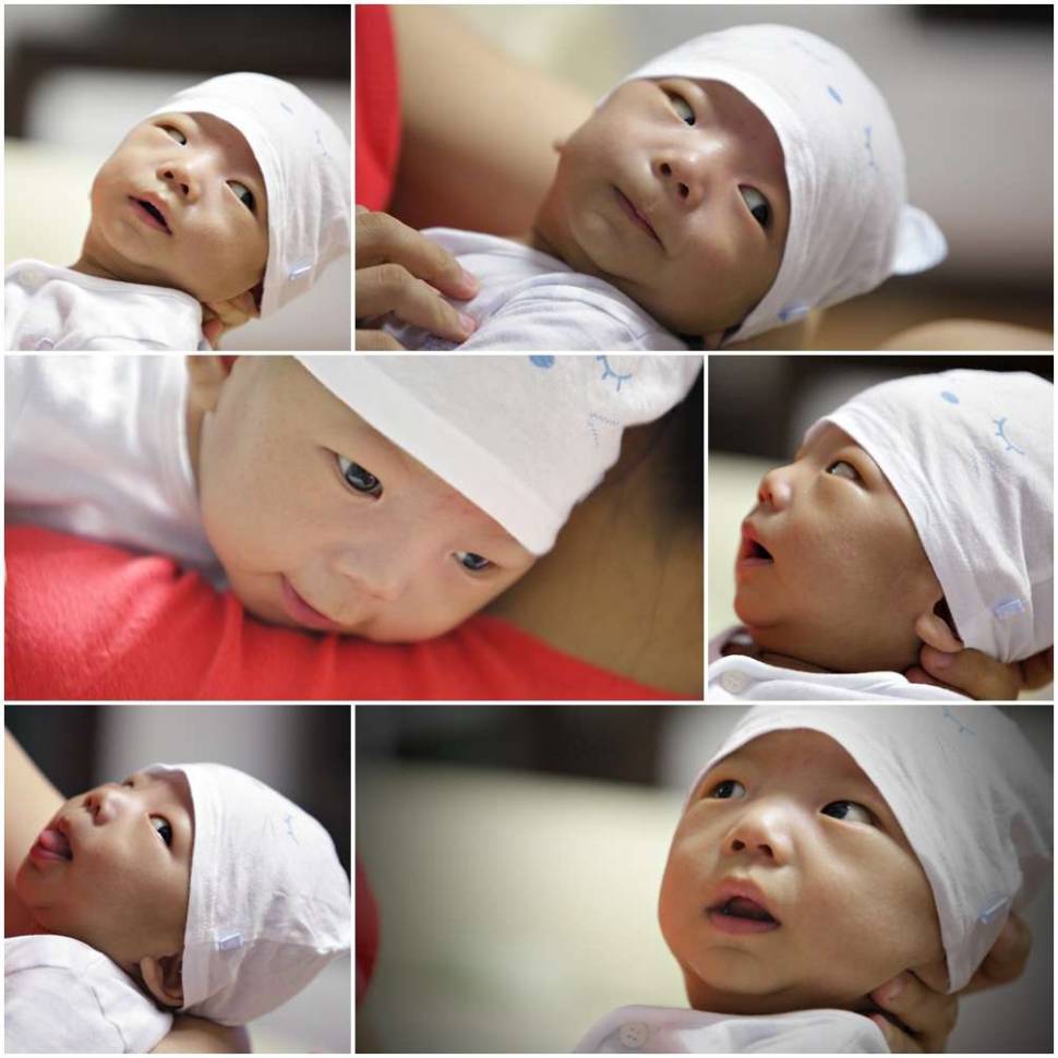 현준이가 많이 컸어요 (커뮤니티 - 포토갤러리)