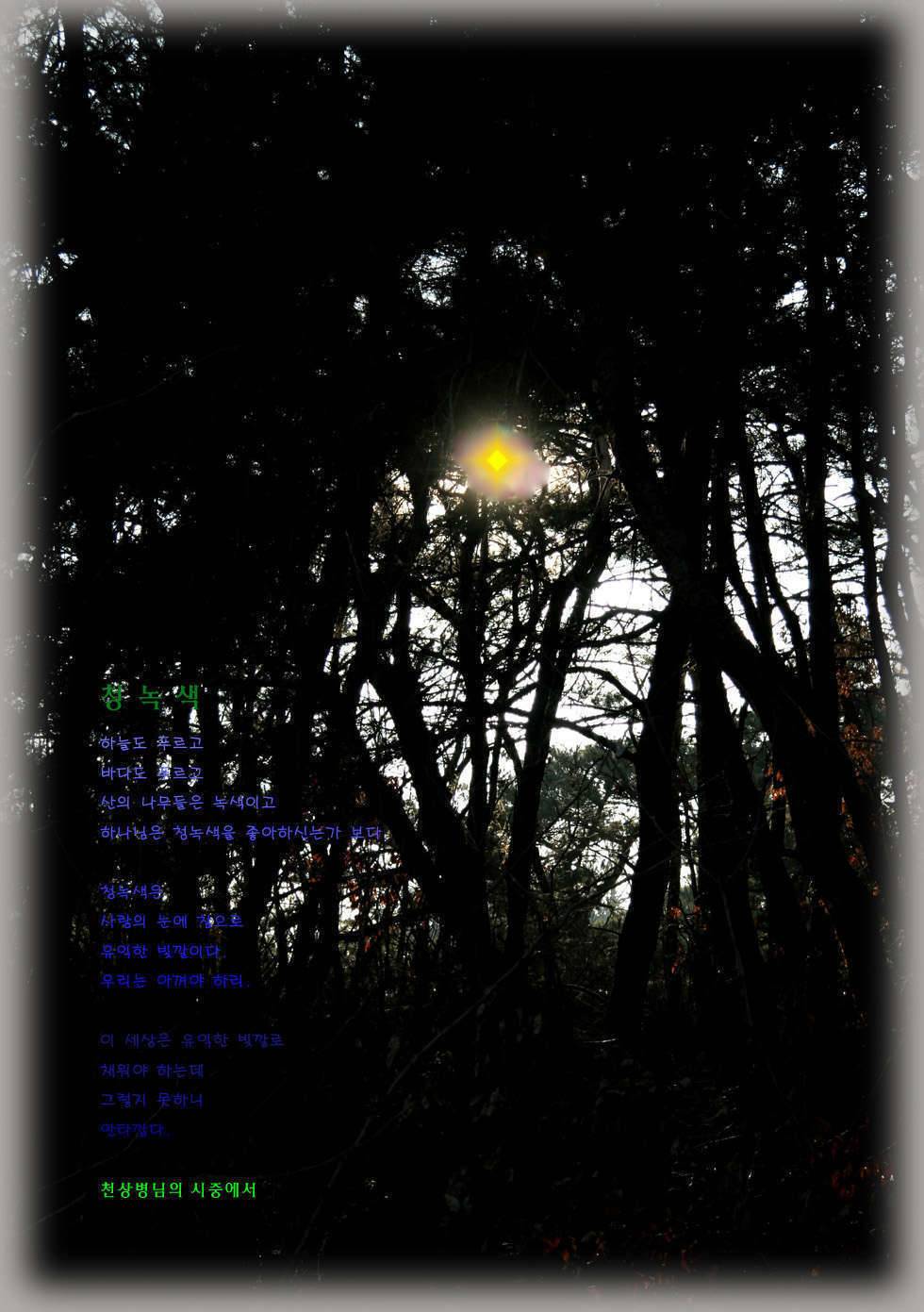 아 아끼는 나의 님이여 (커뮤니티 - 포토갤러리)