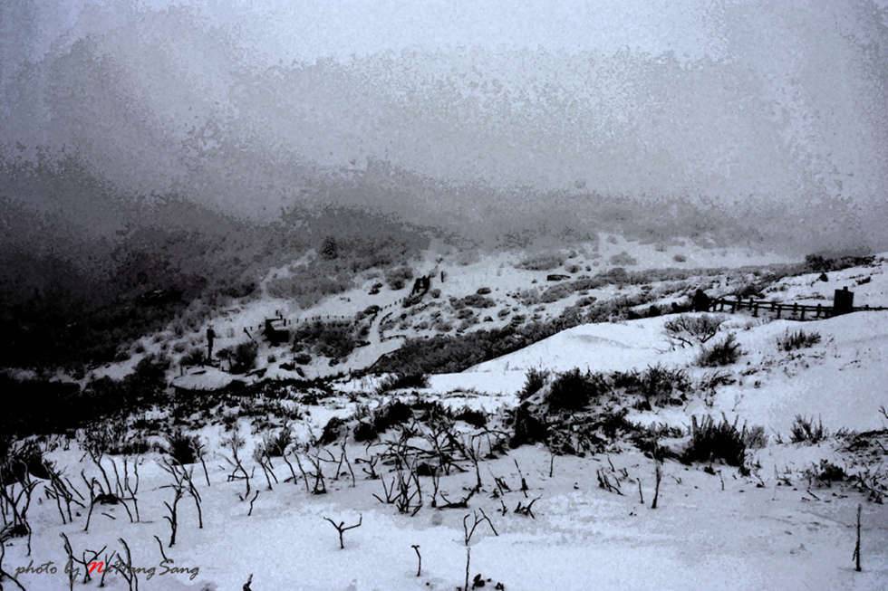 white mountain (커뮤니티 - 포토갤러리)
