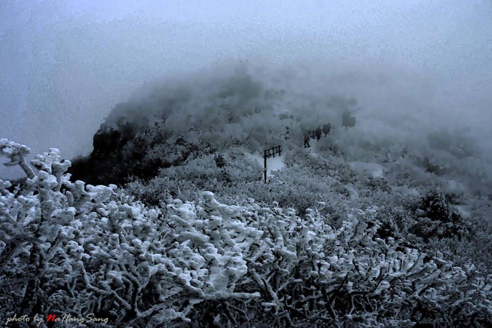 white mountain (커뮤니티 - 포토갤러리)