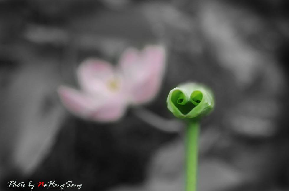 연이년은 어떠세요 (커뮤니티 - 포토갤러리)