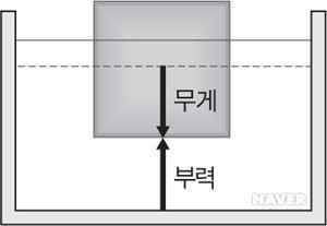 계절수온부력차이 (월척지식 - 전통바닥낚시)