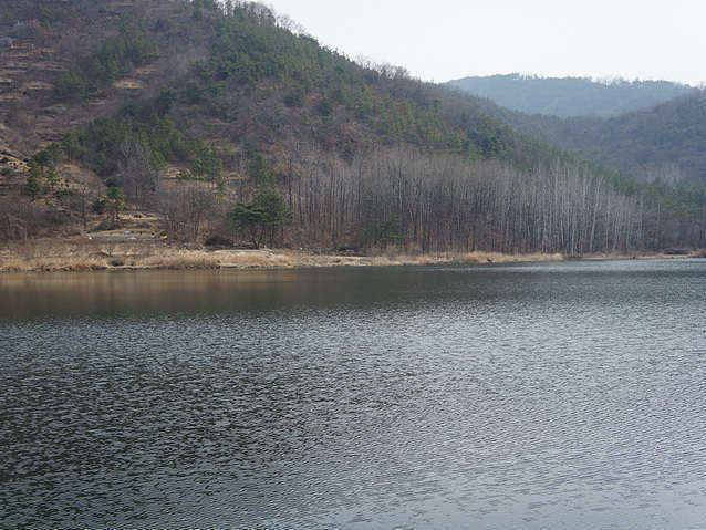 드뎌 깔맞춤으루 맞추고 12년 첫줄조 댕겨 와봤네요 (월척지식 - 전통바닥낚시)