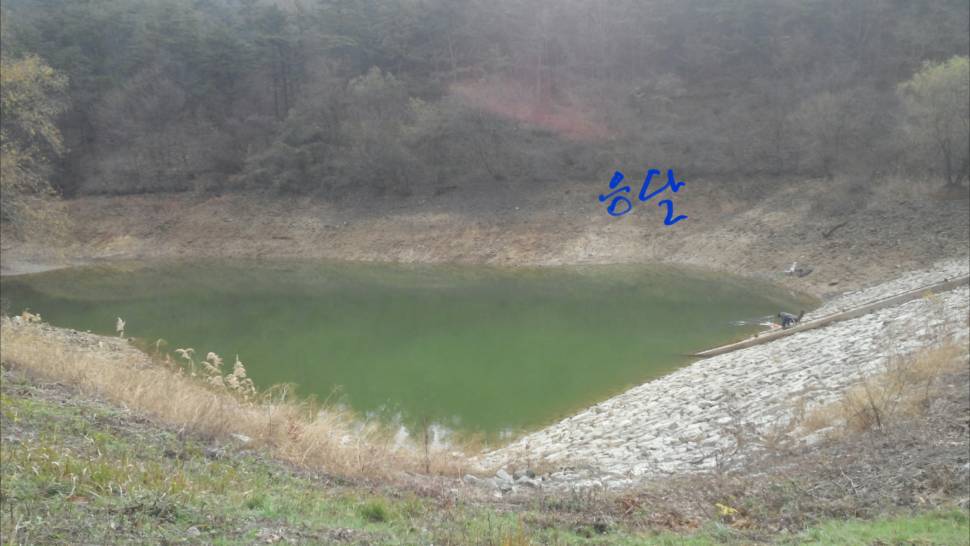 포인트선정이 문제인가요 (월척지식 - 전통바닥낚시)