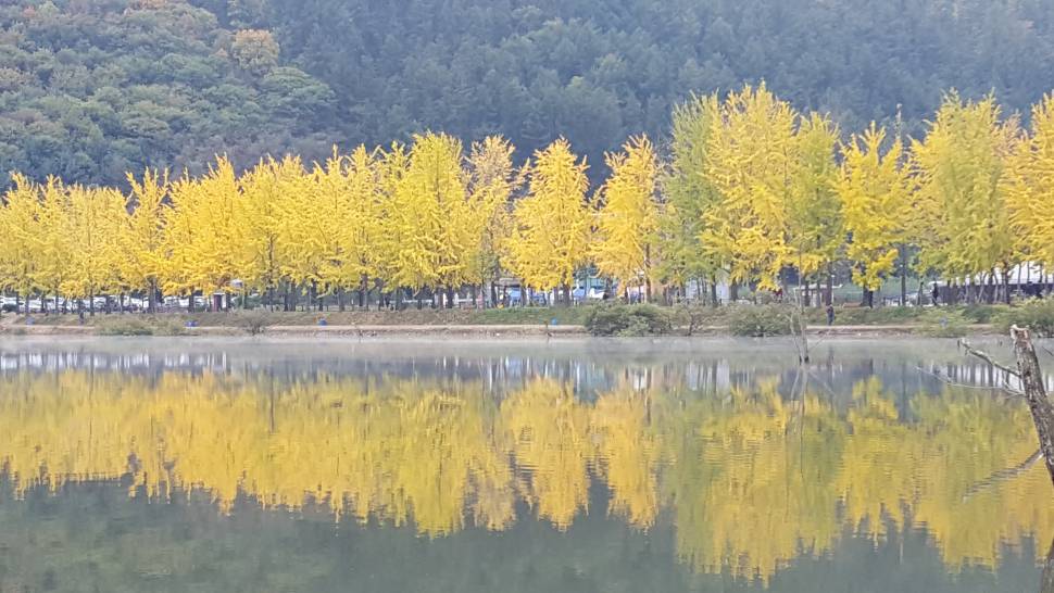 꼭 다시 가고싶은ᆢ친한 친구에게 추천 하고싶은 낚시터 있나요 (월척지식 - 전통바닥낚시)