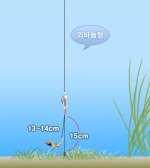 방랑자 채비 질문좀 드릴께요 (월척지식 - 옥수수내림낚시)