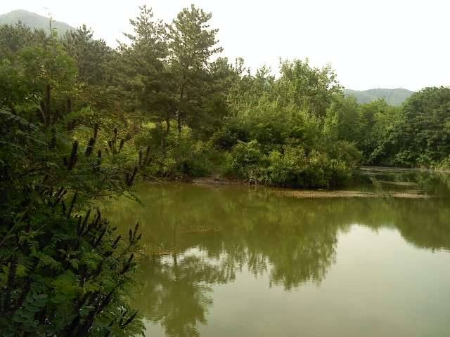 푸성귀 (커뮤니티 - 추억의조행기)