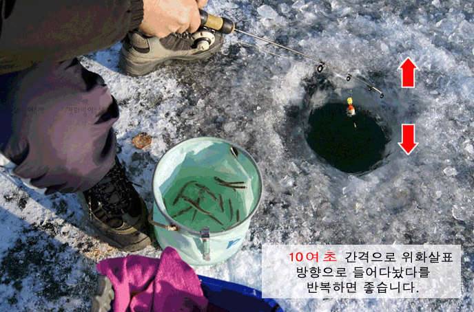 겨울 빙어 낚시여행 (커뮤니티 - 추억의조행기)