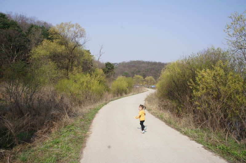 20150411 고삼지 나들이 (커뮤니티 - 추억의조행기)
