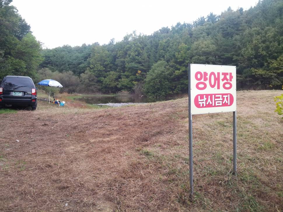 잡자탕에서 잡은 고기는 어떻게 하는게 좋을까 (유료터정보 - 유료터자유게시판)