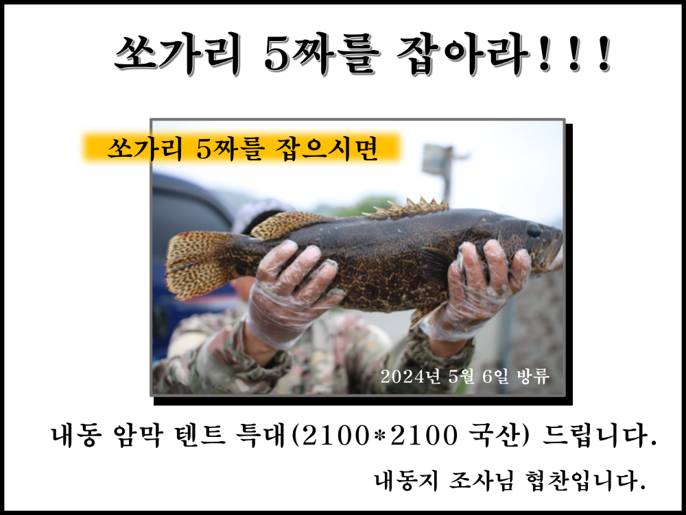 쏘가리 5짜를 잡아라 (유료터정보 - 유료터점주조황)